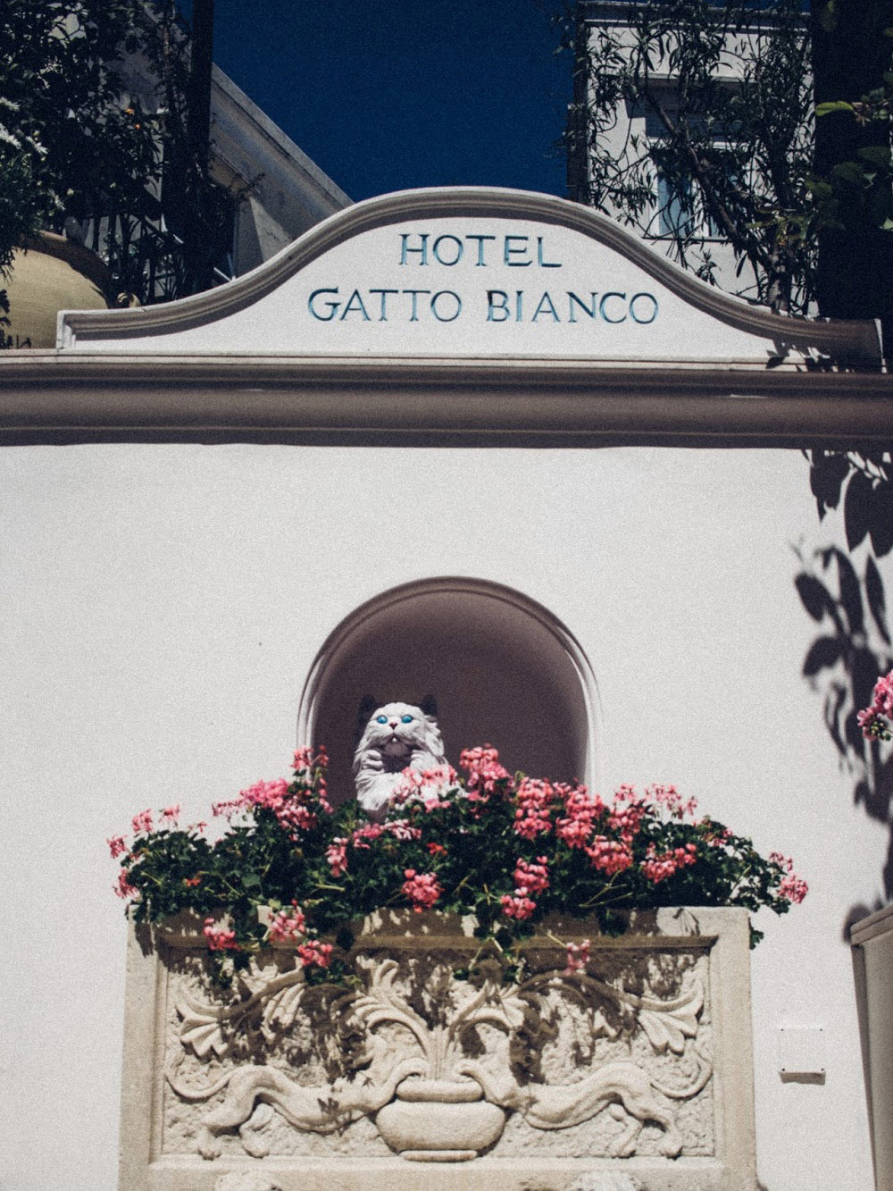 Hotel Gatto Bianco - L'Ora di Capri