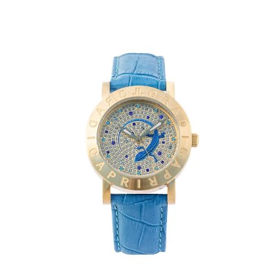 Lucertola Azzurra Pelle - ESAURITO 